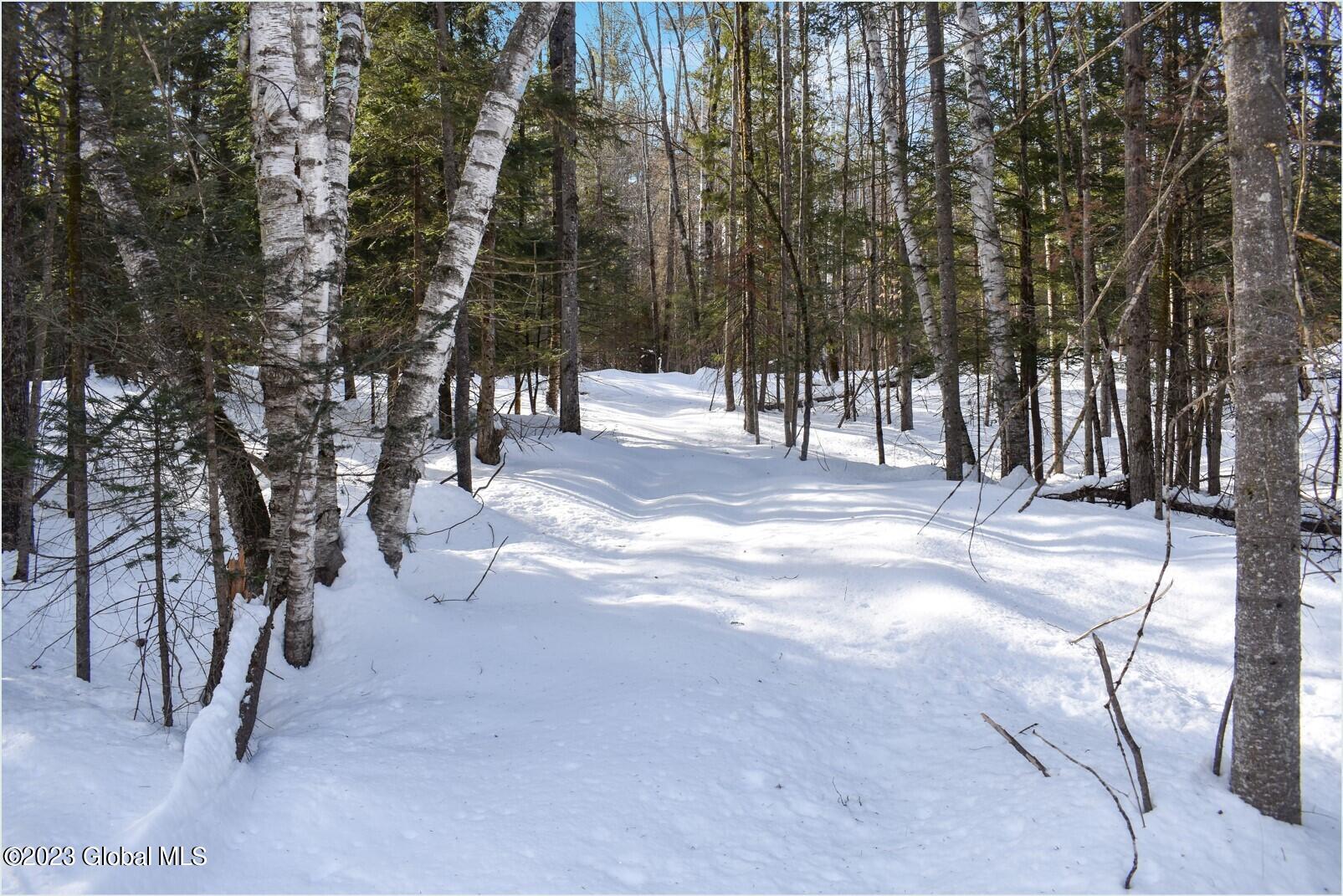 L9 Byrd Pond Road North Creek, NY 12853 - Photo 10 of 27 b16