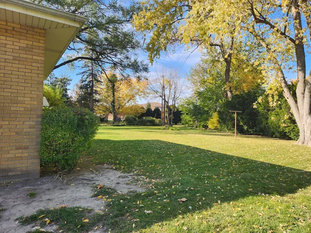 a view of outdoor space with garden and trees