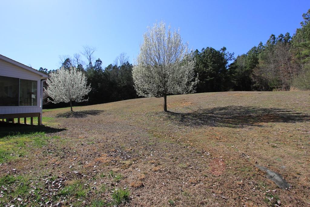 515 Mathis Cove Road Birchwood, TN 37308 - Photo 32 of 40 515 Mathis Cove Rd (33)