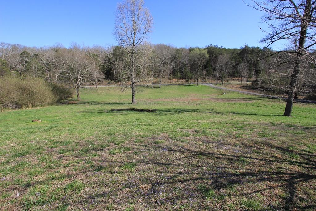 515 Mathis Cove Road Birchwood, TN 37308 - Photo 6 of 40 515 Mathis Cove Rd (5)