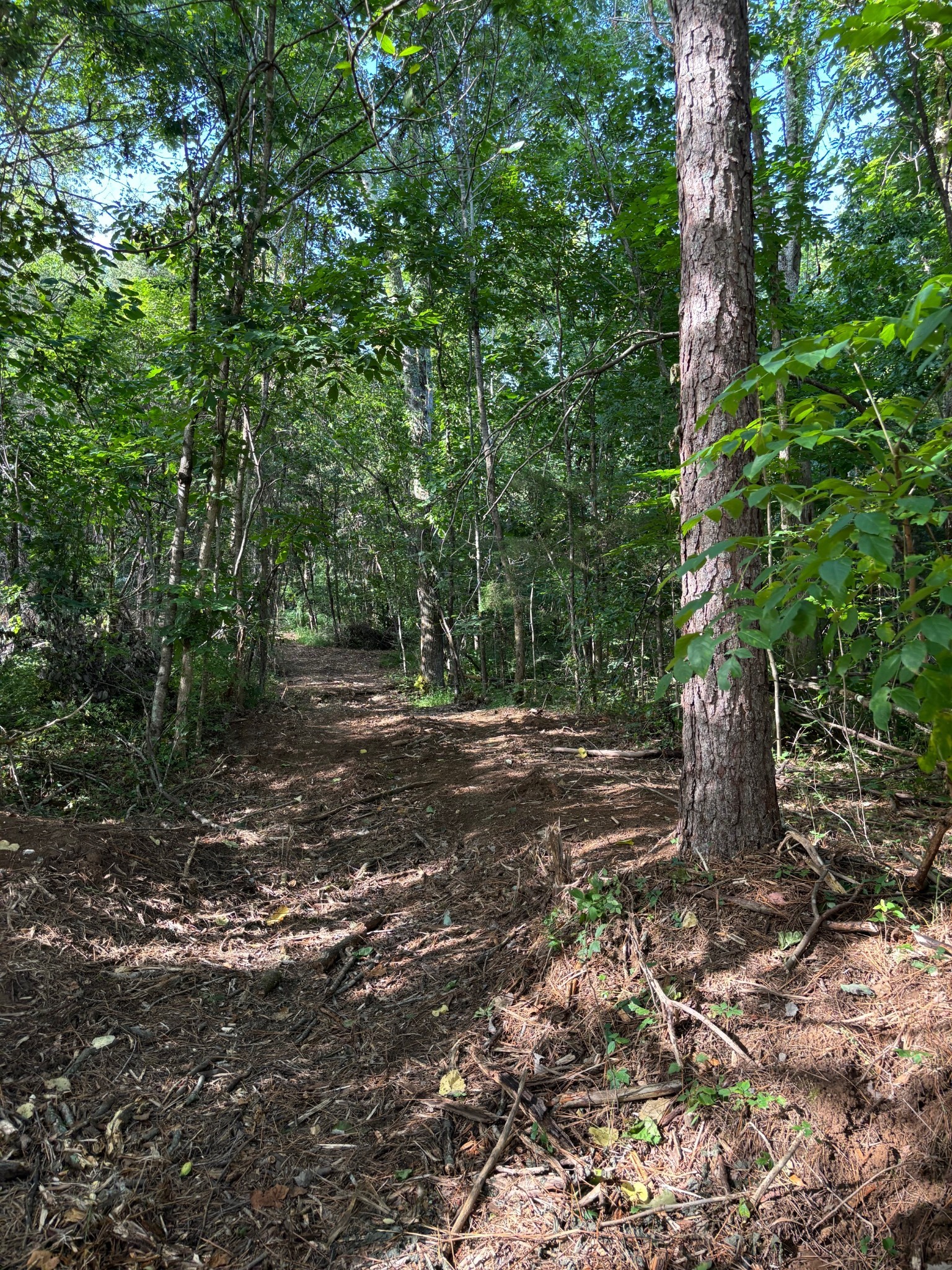 2517 Patton Hollow Road Watertown, TN 37184 - Photo 19 of 29