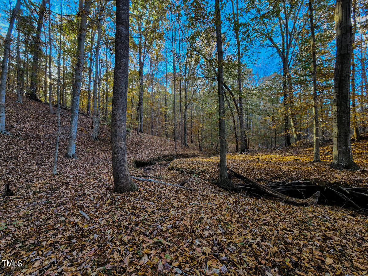 1254 Anglin Mill Road Stoneville, NC 27048 - Photo 36 of 92 34