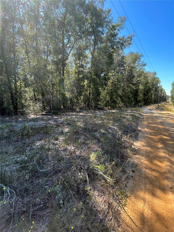 Tbd Windy Hills Road Hawthorne, FL 32640 - Photo 1 of 1 Gallery Image 1