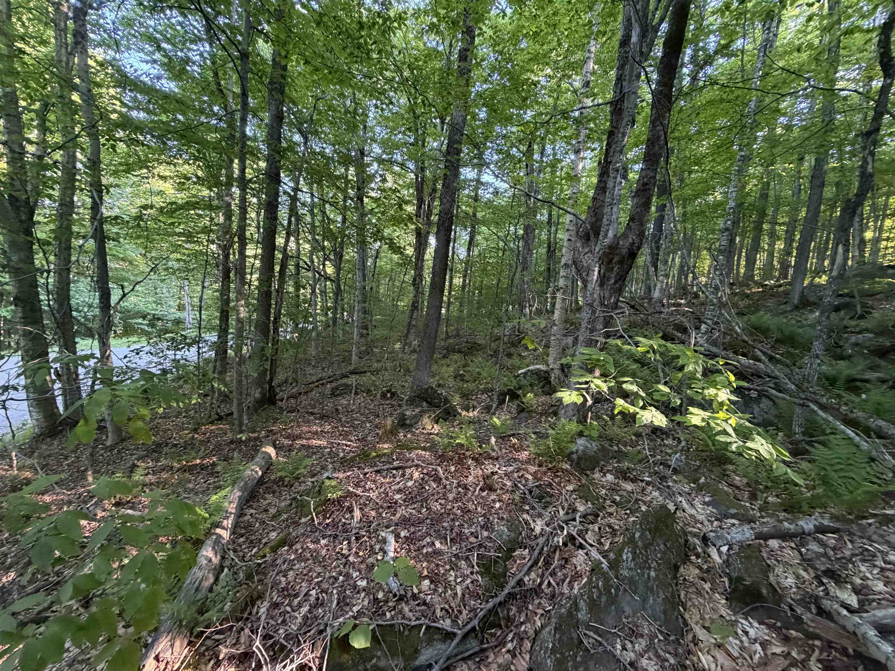 Scattered Timber Road Wilmington, VT 05363 - Photo 10 of 24