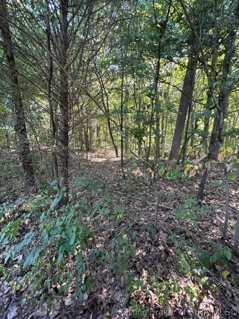 3 North State Road Lexington, IN 47138 - Photo 15 of 23