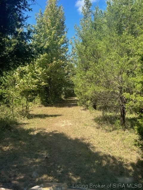 3 North State Road Lexington, IN 47138 - Photo 17 of 23