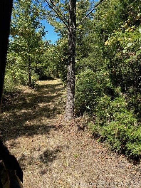 3 North State Road Lexington, IN 47138 - Photo 18 of 23