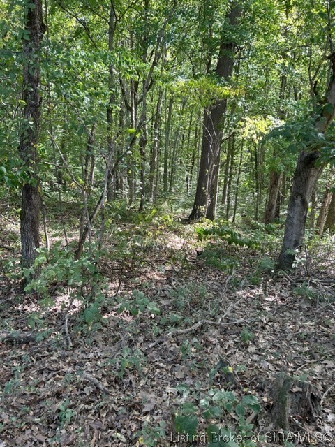 3 North State Road Lexington, IN 47138 - Photo 22 of 23