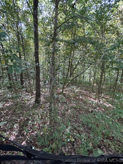 3 North State Road Lexington, IN 47138 - Photo 23 of 23