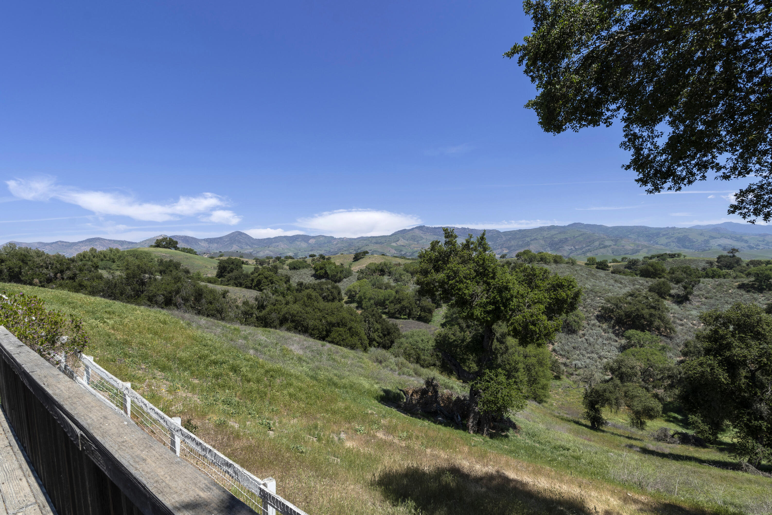 3776 Live Oak Road Santa Ynez, CA 93460 - Photo 19 of 36 a view of a lush green forest with a houses