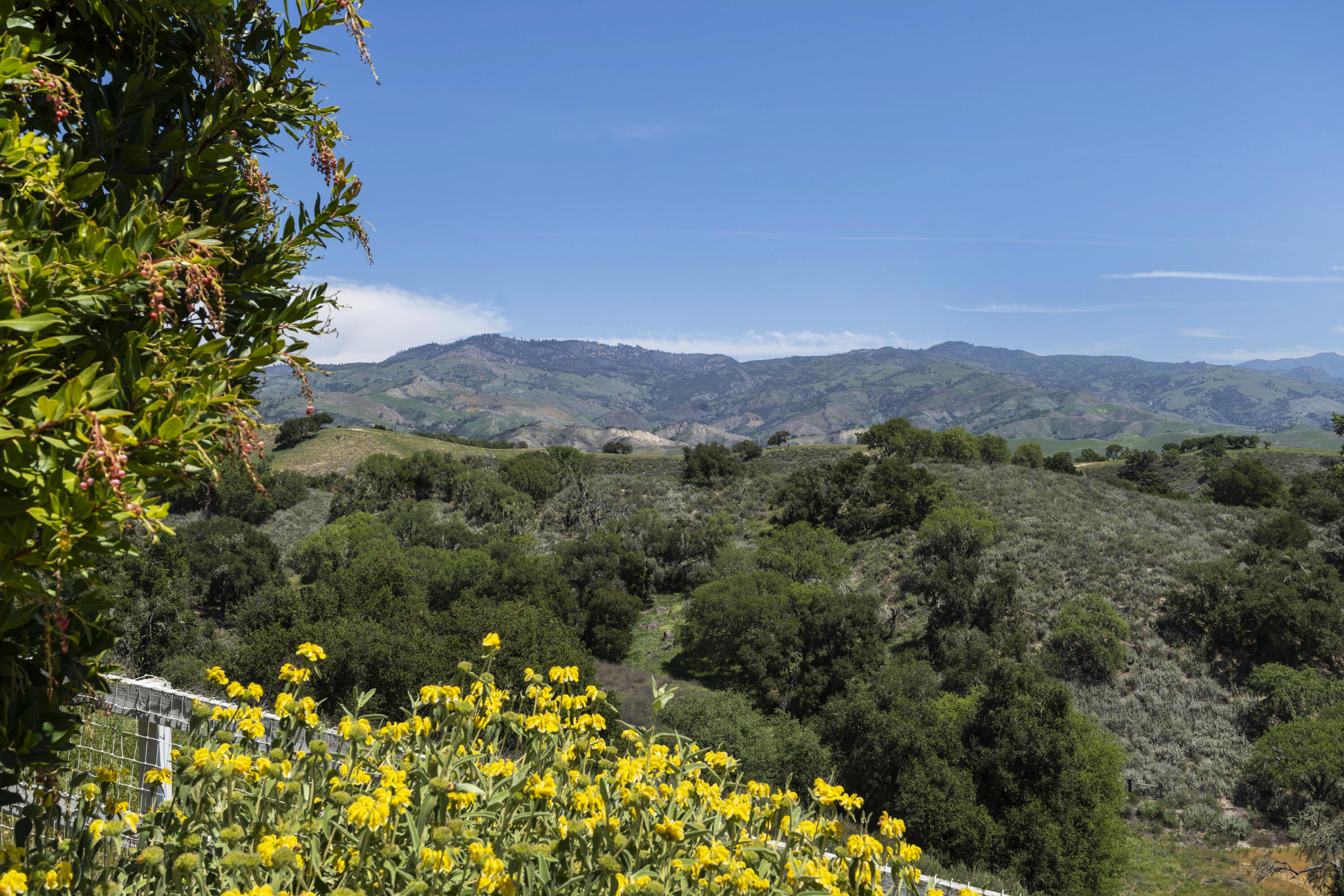 3776 Live Oak Road Santa Ynez, CA 93460 - Photo 21 of 36 an aerial view of a house with a yard