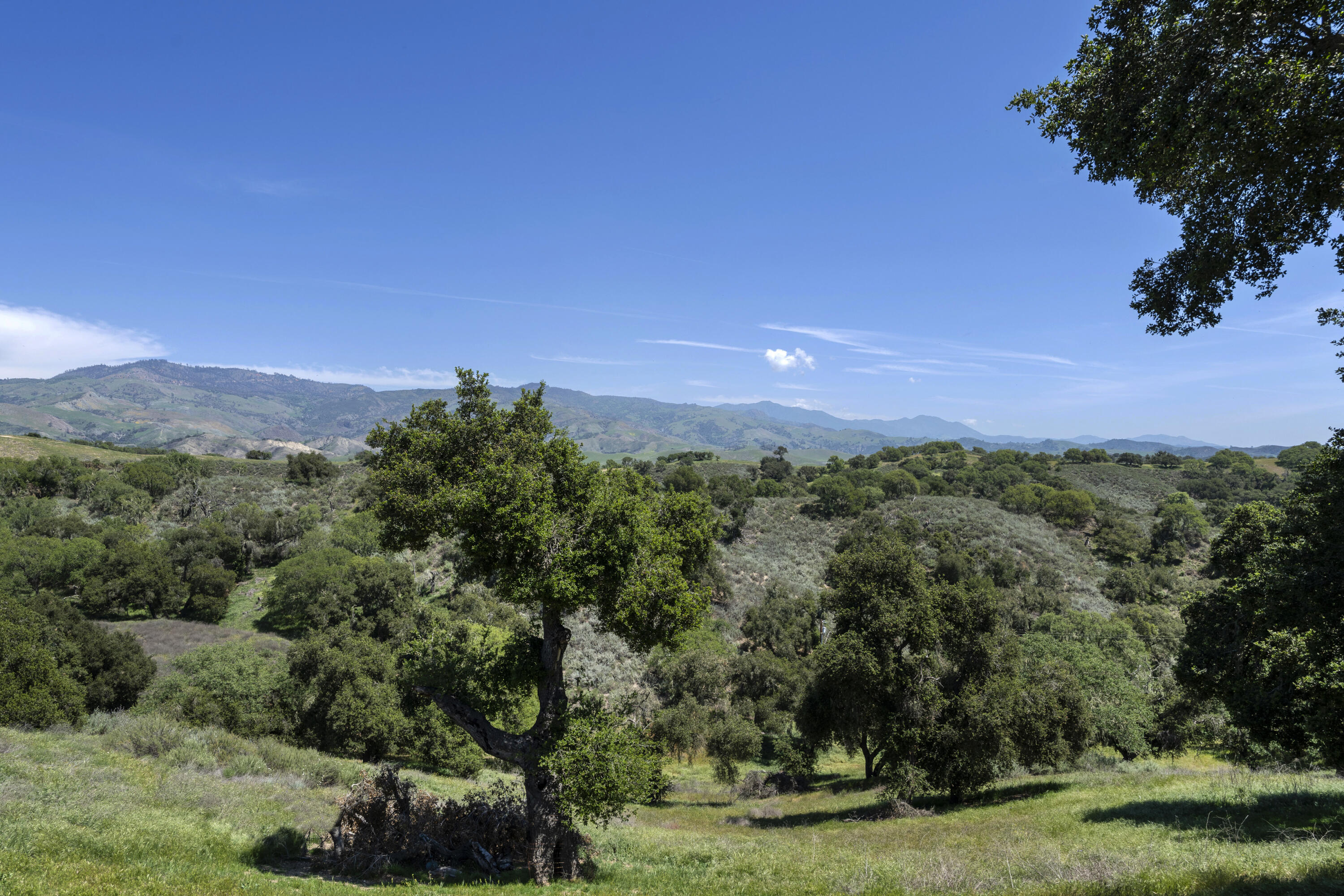 3776 Live Oak Road Santa Ynez, CA 93460 - Photo 22 of 36 LO 29