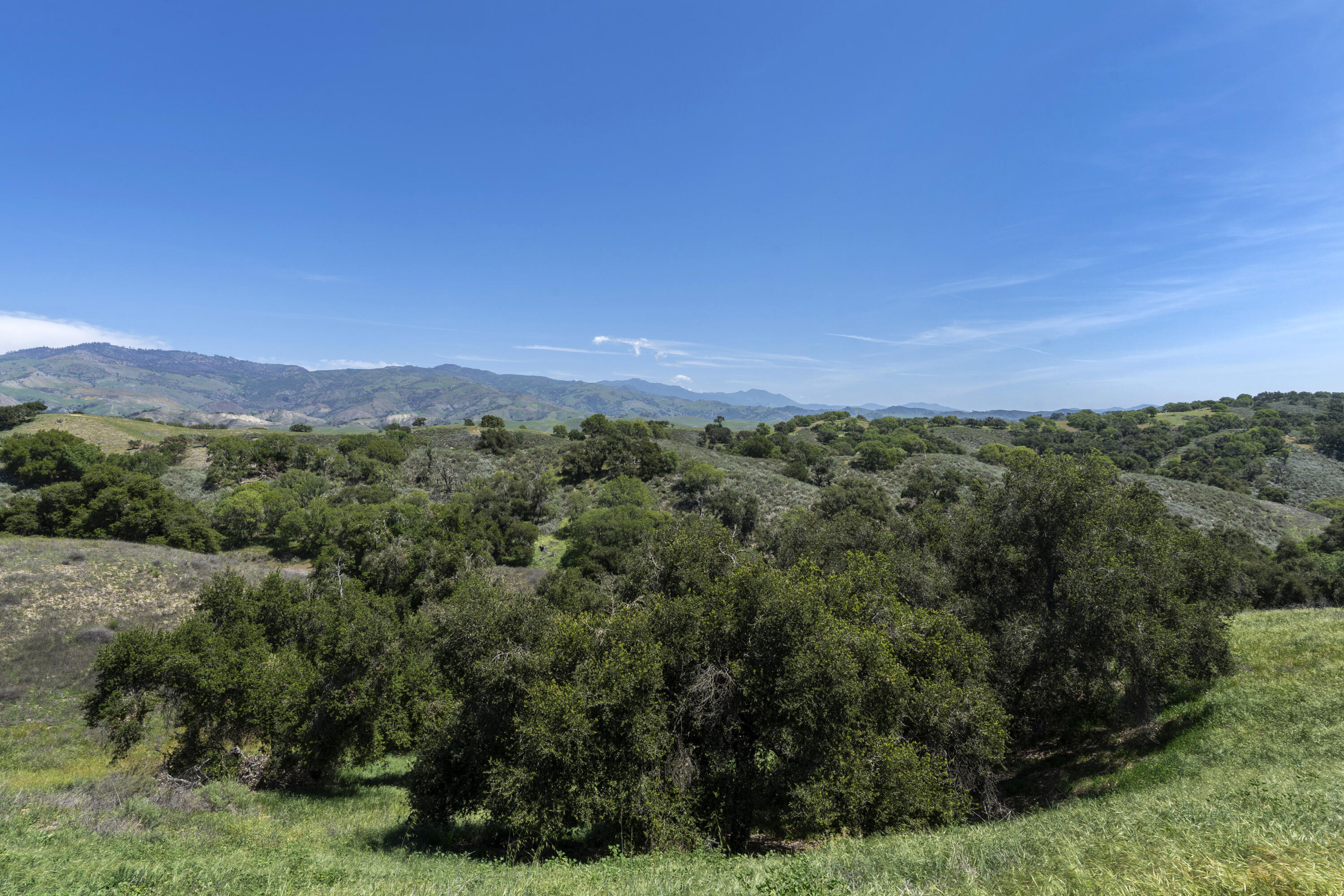 3776 Live Oak Road Santa Ynez, CA 93460 - Photo 23 of 36 a view of a city with lush green forest