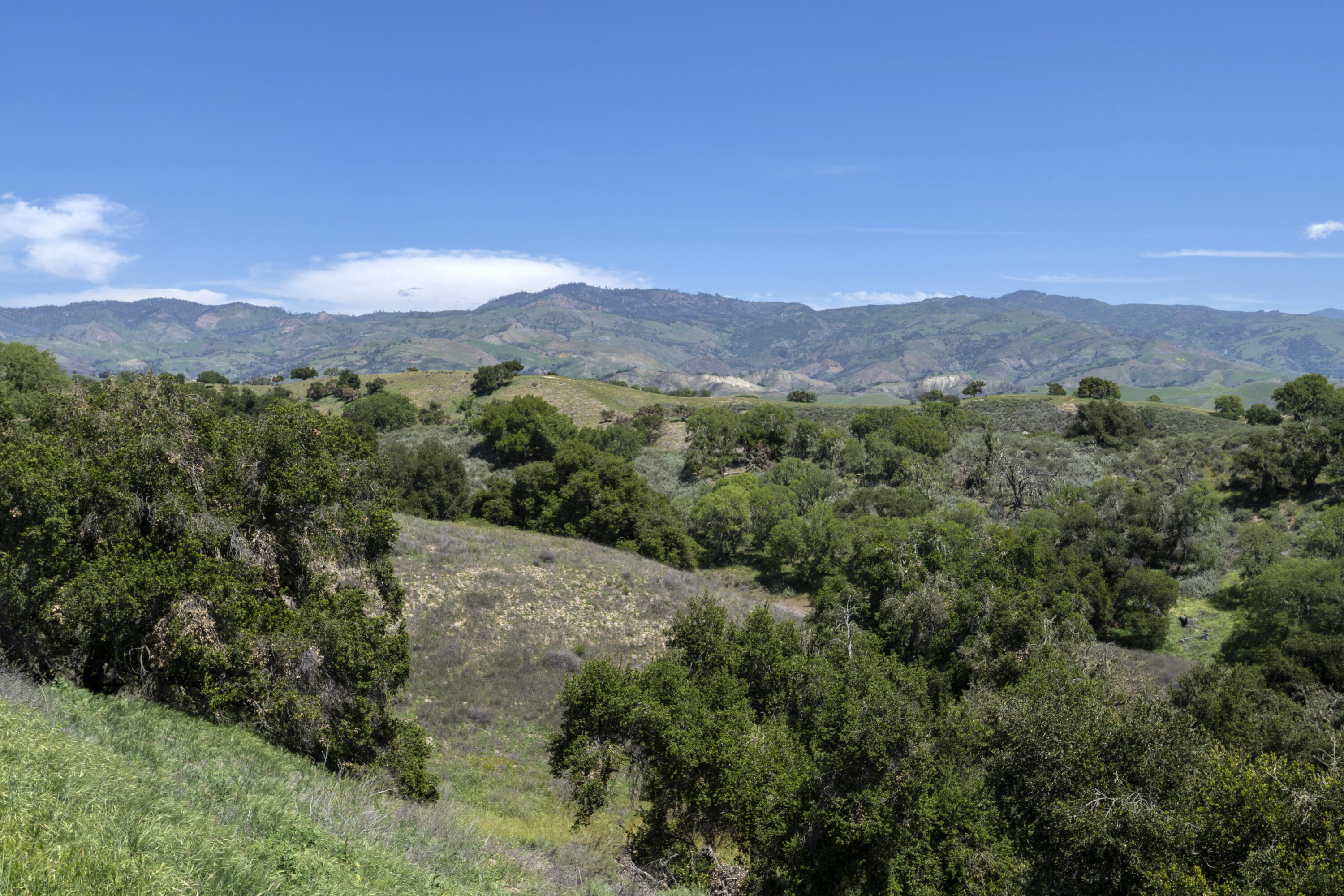 3776 Live Oak Road Santa Ynez, CA 93460 - Photo 31 of 36 a view of a mountain range with lush green forest
