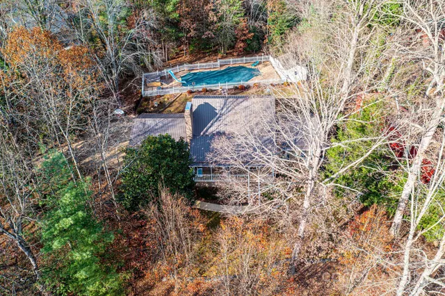 a view of a yard with plants and trees
