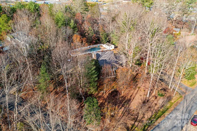 a view of a city with lush green forest