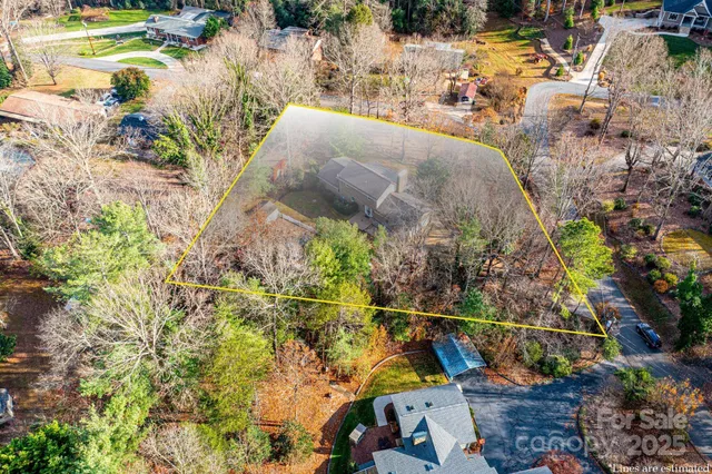 a view of a plant in a yard