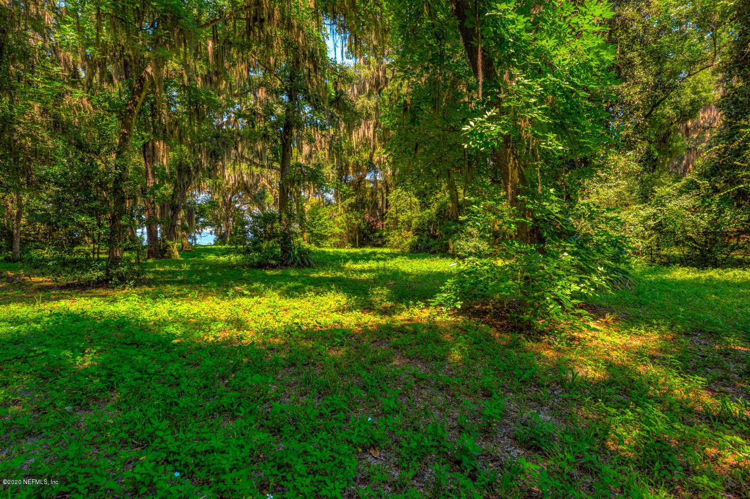 932 Fruit Cove Road Jacksonville, FL 32259 - Photo 13 of 41 932 Fruit Cove Rd_32259-16