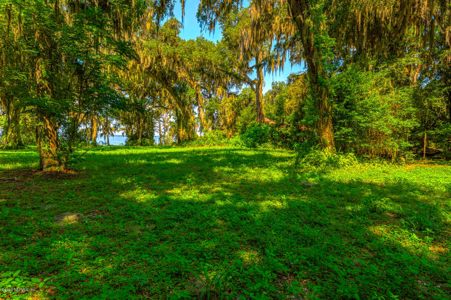 932 Fruit Cove Road Jacksonville, FL 32259 - Photo 15 of 41 932 Fruit Cove Rd_32259-18
