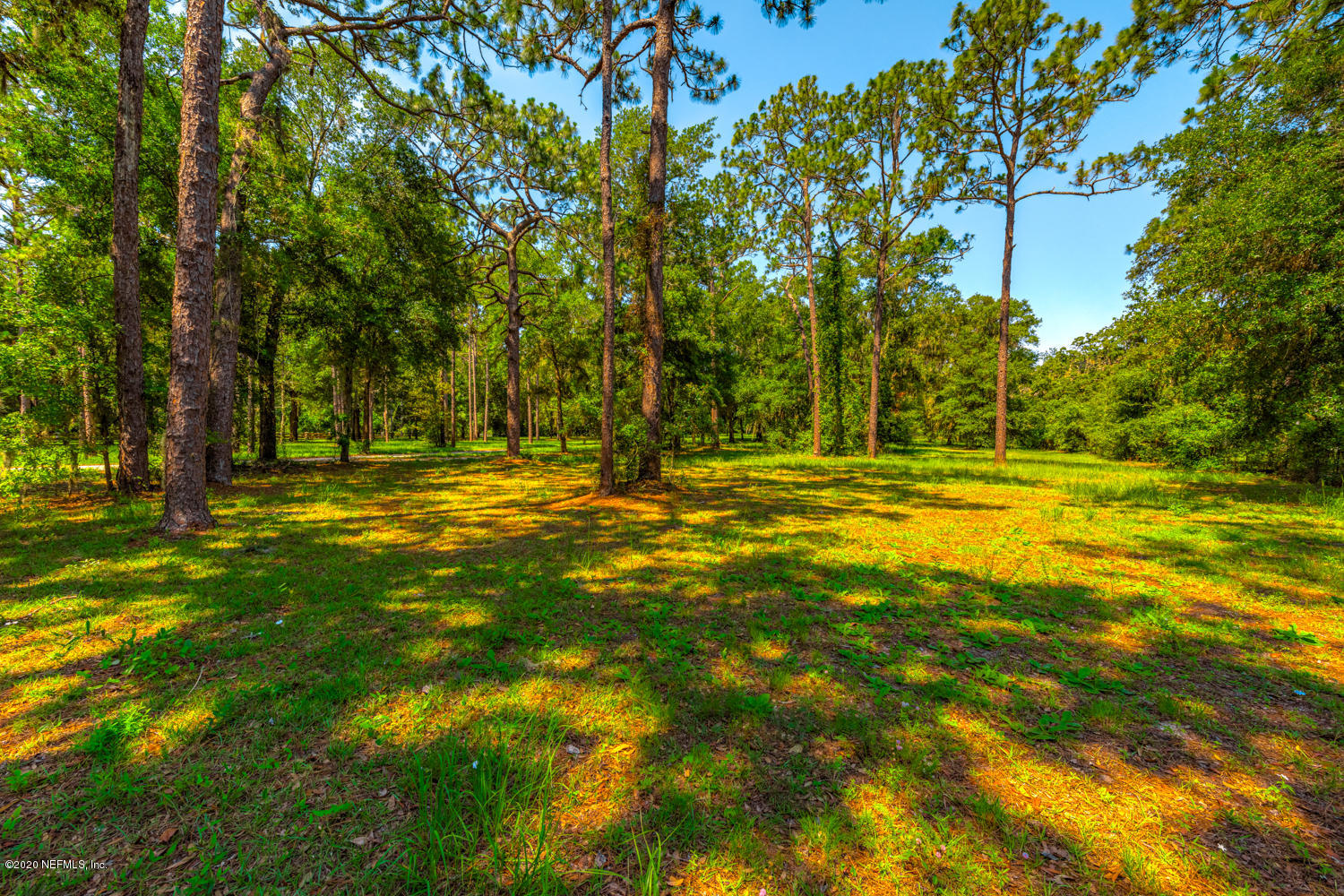 932 Fruit Cove Road Jacksonville, FL 32259 - Photo 5 of 41 932 Fruit Cove Rd_32259-3