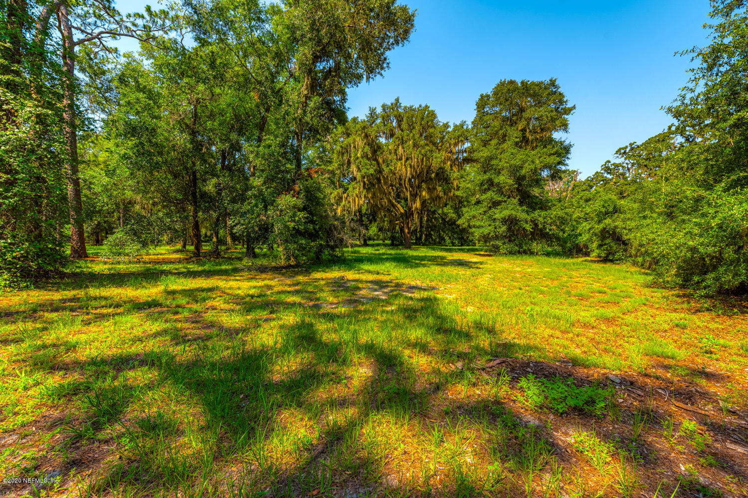 932 Fruit Cove Road Jacksonville, FL 32259 - Photo 6 of 41 932 Fruit Cove Rd_32259-5