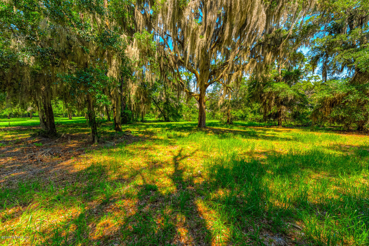 932 Fruit Cove Road Jacksonville, FL 32259 - Photo 7 of 41 932 Fruit Cove Rd_32259-6