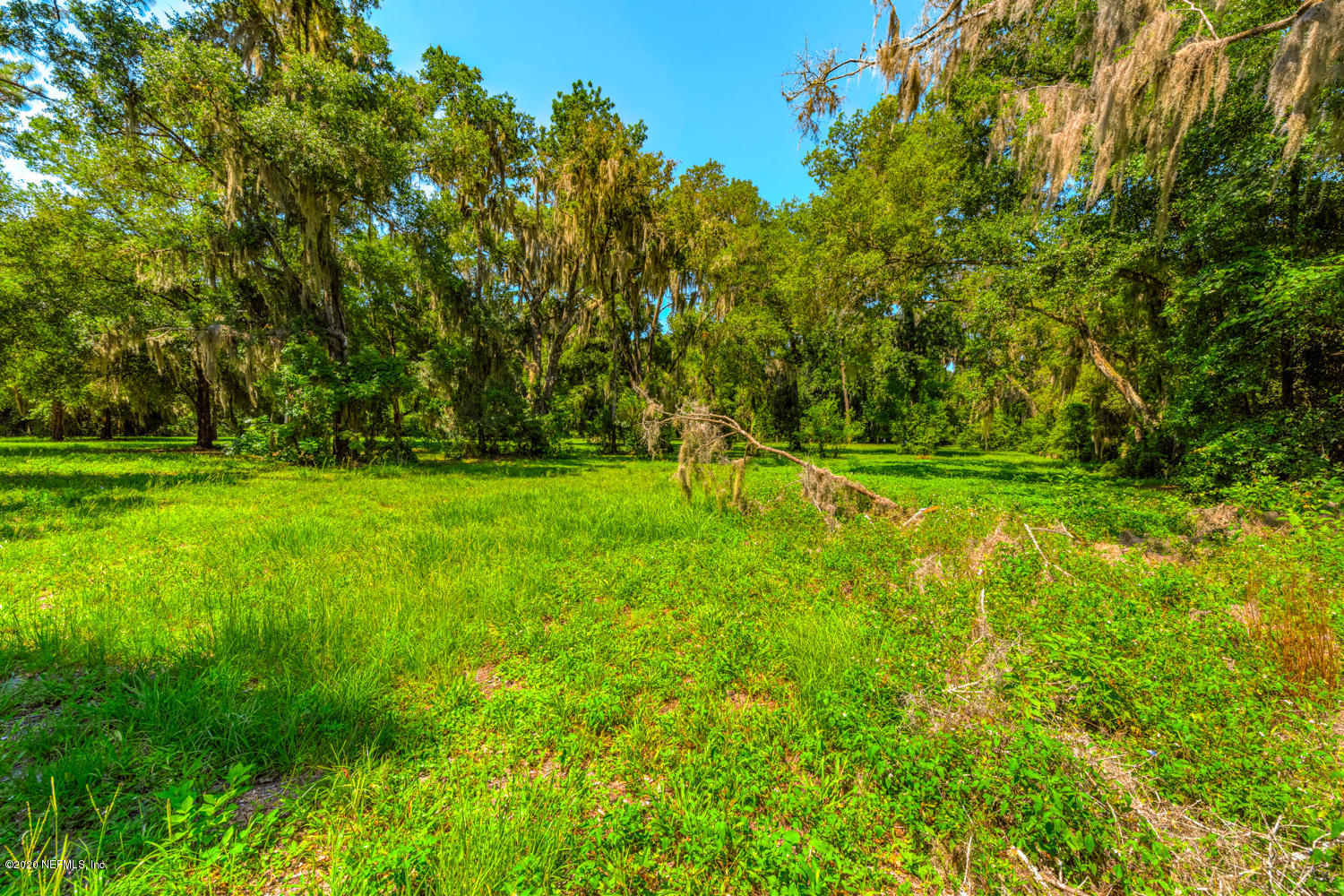 932 Fruit Cove Road Jacksonville, FL 32259 - Photo 9 of 41 932 Fruit Cove Rd_32259-9