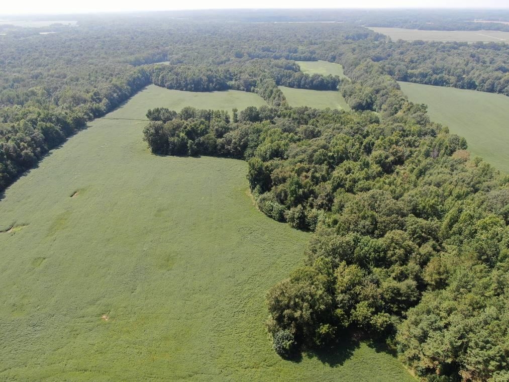 0 Galloway Levee Road Arlington, TN 38002 - Photo 34 of 35 Aerial Looking West