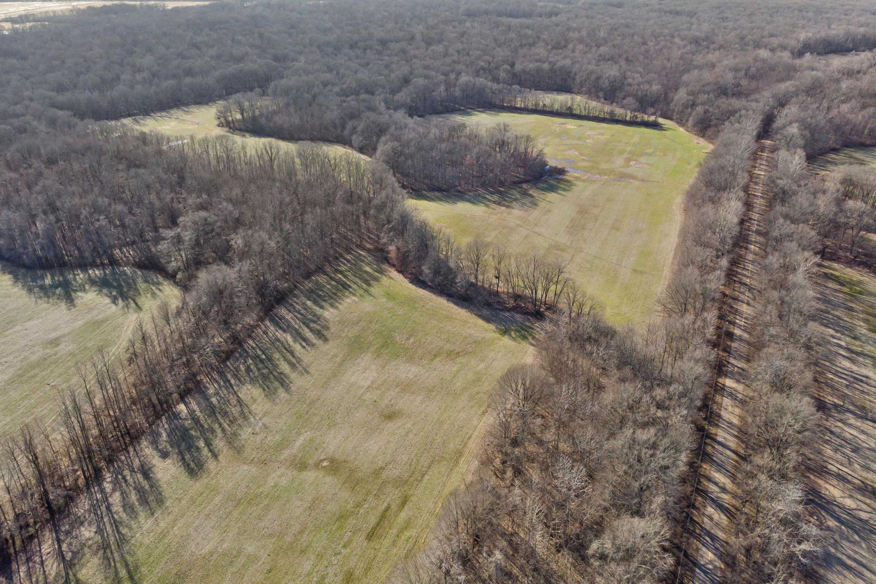 0 Galloway Levee Road Arlington, TN 38002 - Photo 10 of 35 Gallery Image 10