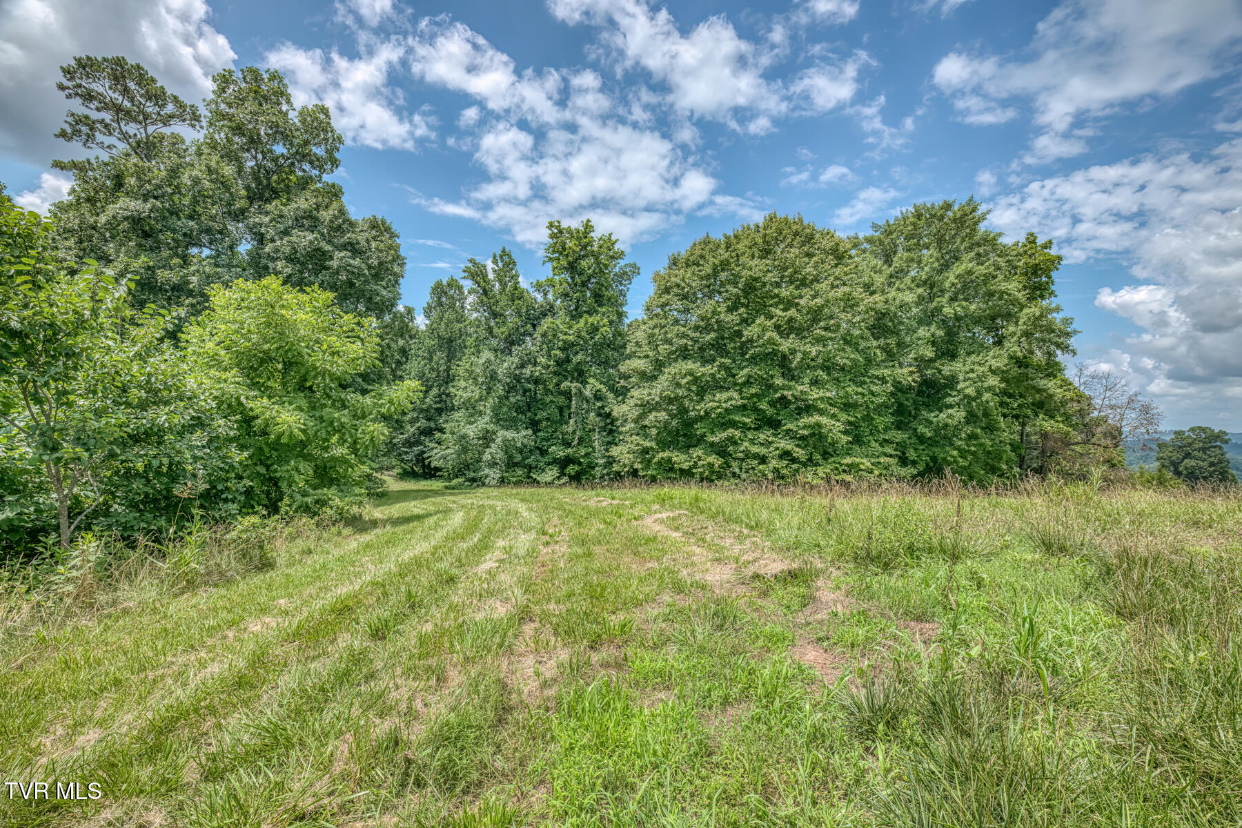 2083 Bundren Mountain Road Tazewell, TN 37879 - Photo 2 of 42 2083 Bundren Mountain Rd-19