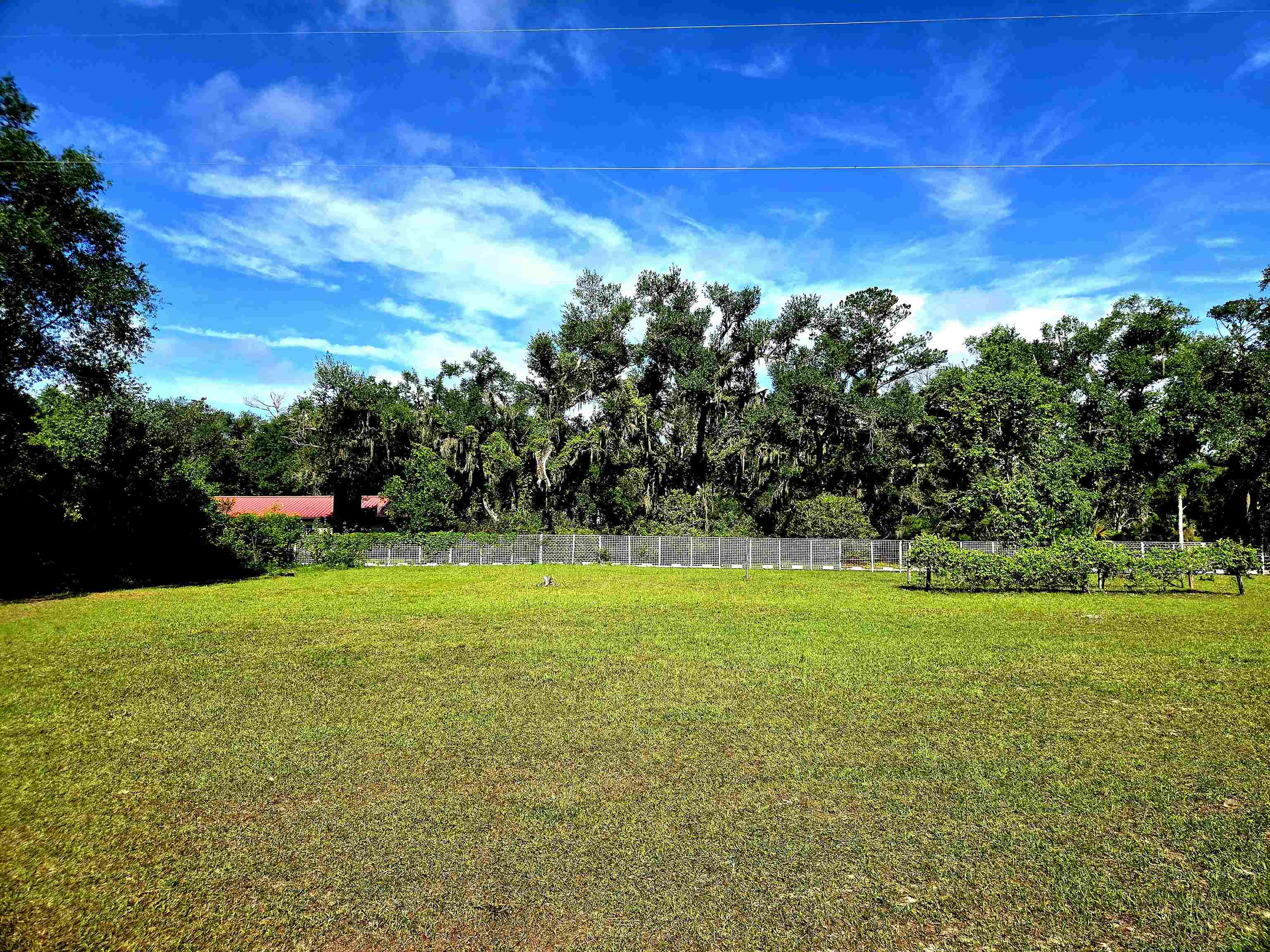 585 Mangum-Close Road Perry, FL 32347 - Photo 32 of 56