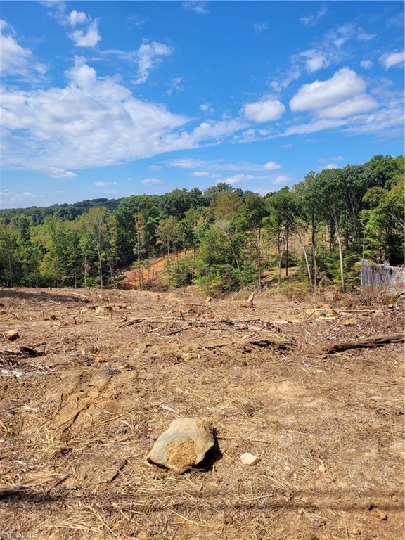 3759 Fuller Mill Road North Thomasville, NC 27360 - Photo 3 of 6