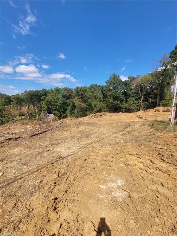 3759 Fuller Mill Road North Thomasville, NC 27360 - Photo 4 of 6