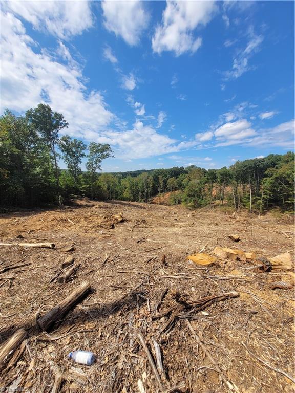 3759 Fuller Mill Road North Thomasville, NC 27360 - Photo 5 of 6