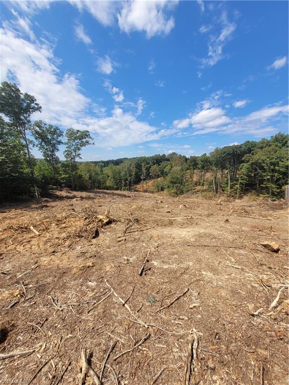 3759 Fuller Mill Road North Thomasville, NC 27360 - Photo 6 of 6