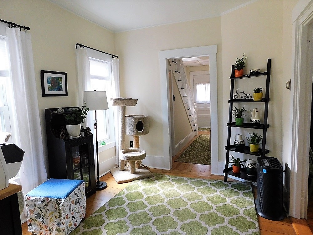 18 Chamberlain Street Rochester, NH 03867 - Photo 10 of 34