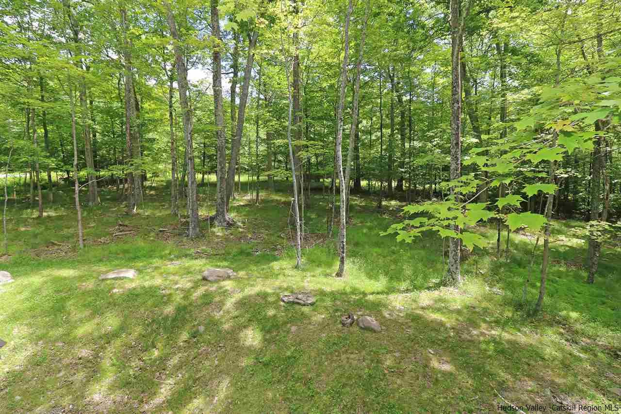 23 Hickory Road Willow, NY 12495 - Photo 29 of 33 Photo 29