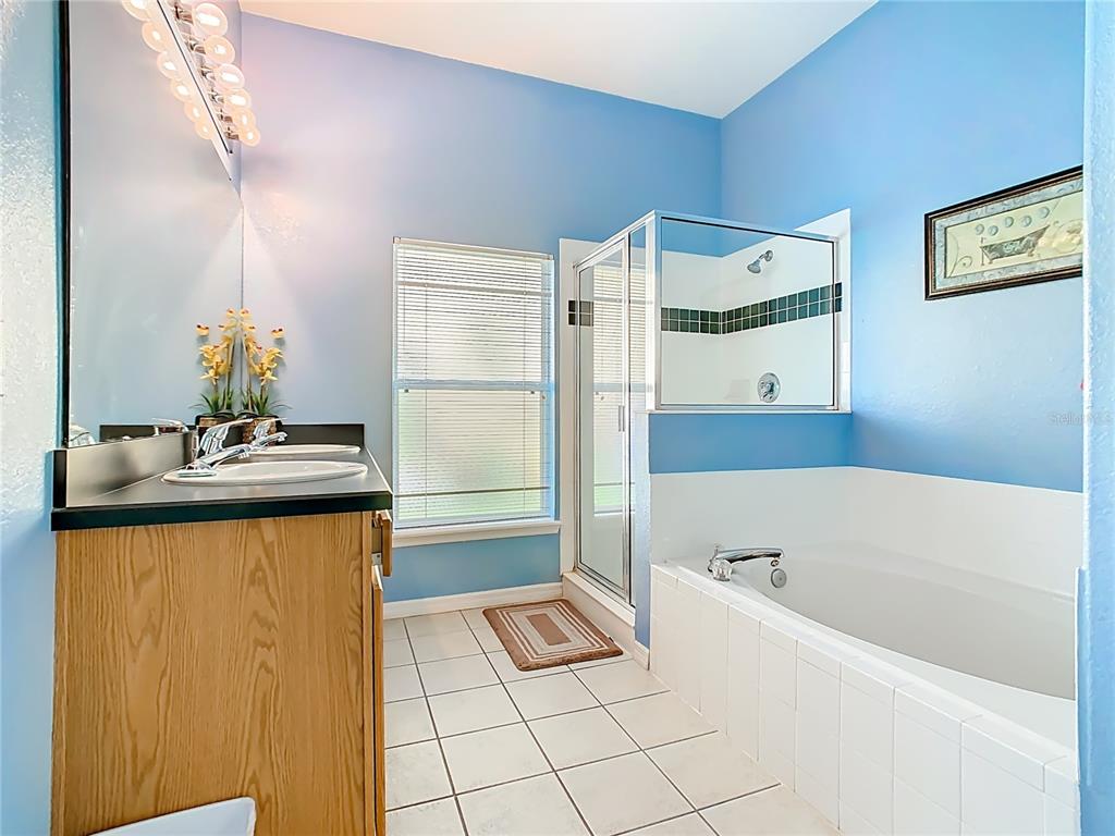 334 Cadiz Loop Davenport, FL 33837 - Photo 33 of 63 a bathroom with a tub a sink and a large mirror