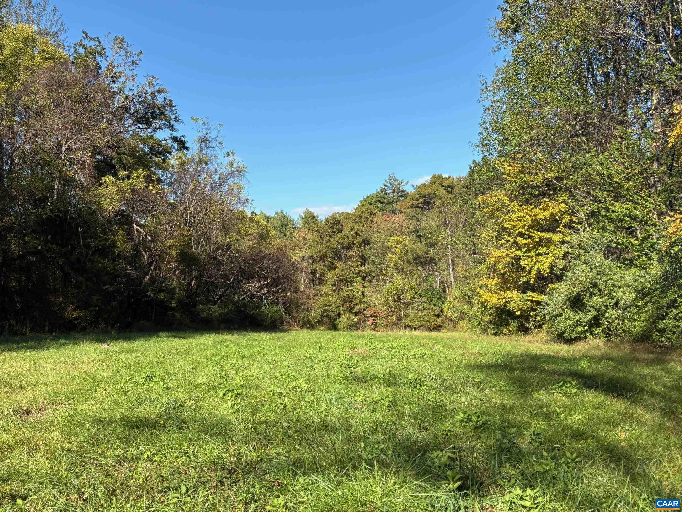 Lot D Hoover Road West Reva, VA 22735 - Photo 6 of 11 Lot D, 4.498 acres
