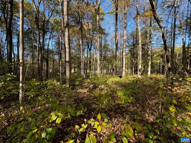 $157,000 | Lot D Hoover Road West, Reva, VA 22735