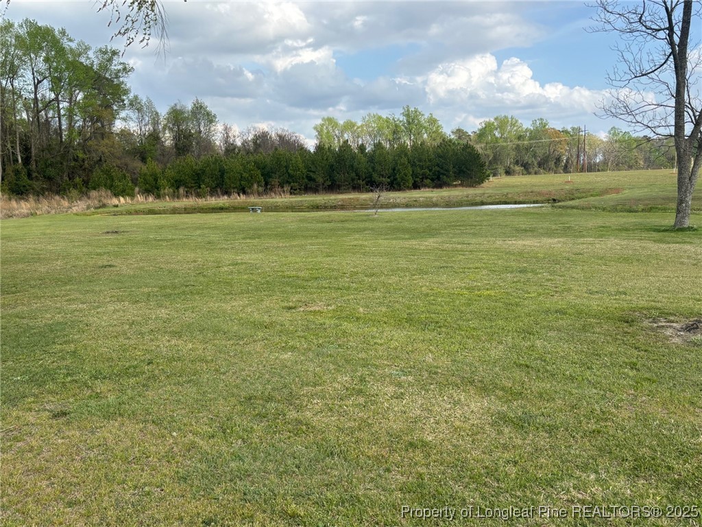 6290 Regan Church Road Lumberton, NC 28358 - Photo 14 of 34 Gallery Image 14