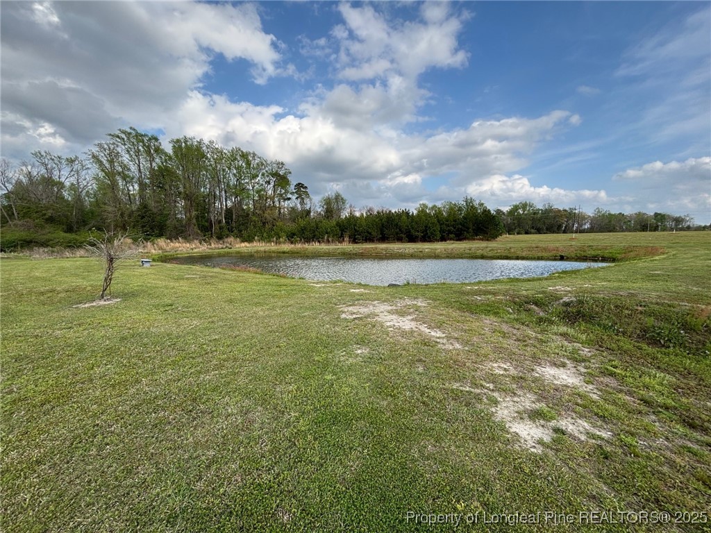 6290 Regan Church Road Lumberton, NC 28358 - Photo 15 of 34 Gallery Image 15