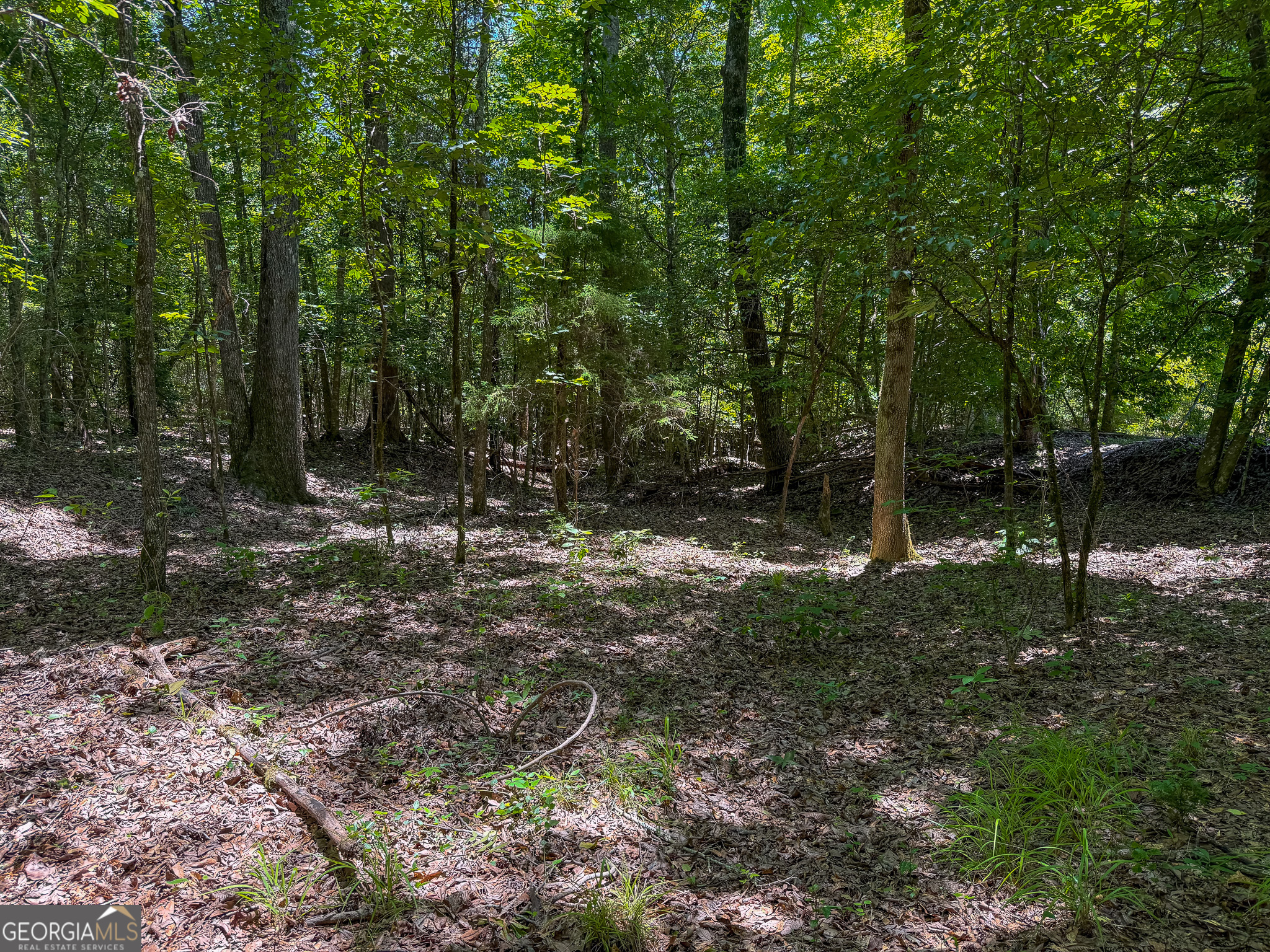 6687 Green Grove Road Lumpkin, GA 31815 - Photo 4 of 25