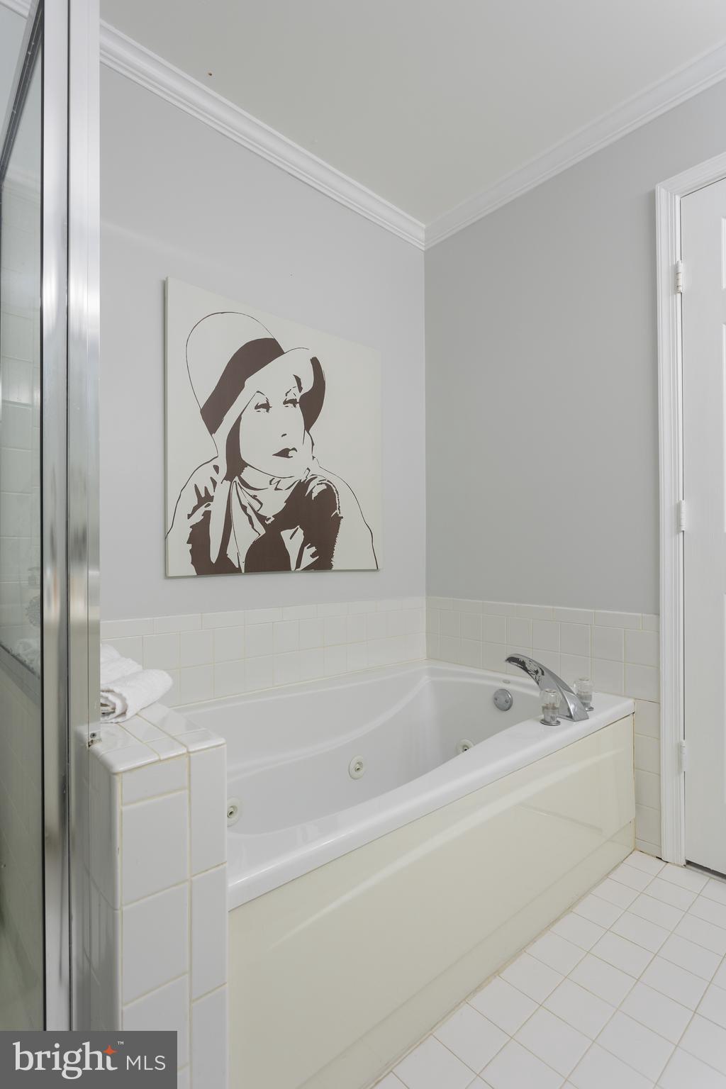 11834 Breton Court, Unit 22B Reston, VA 20191 - Photo 24 of 43 Primary Bath with jetted tub