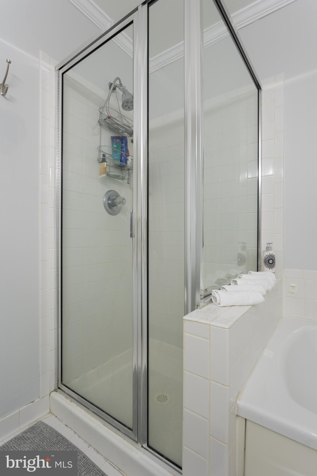 11834 Breton Court, Unit 22B Reston, VA 20191 - Photo 25 of 43 Primary bath with standup shower