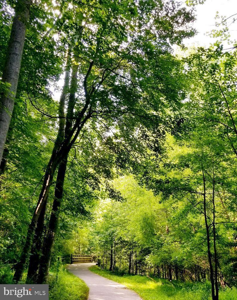 11834 Breton Court, Unit 22B Reston, VA 20191 - Photo 43 of 43 Trail in front of property