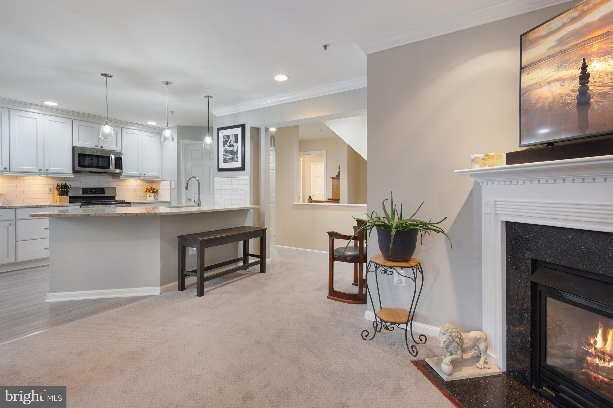 11834 Breton Court, Unit 22B Reston, VA 20191 - Photo 7 of 43