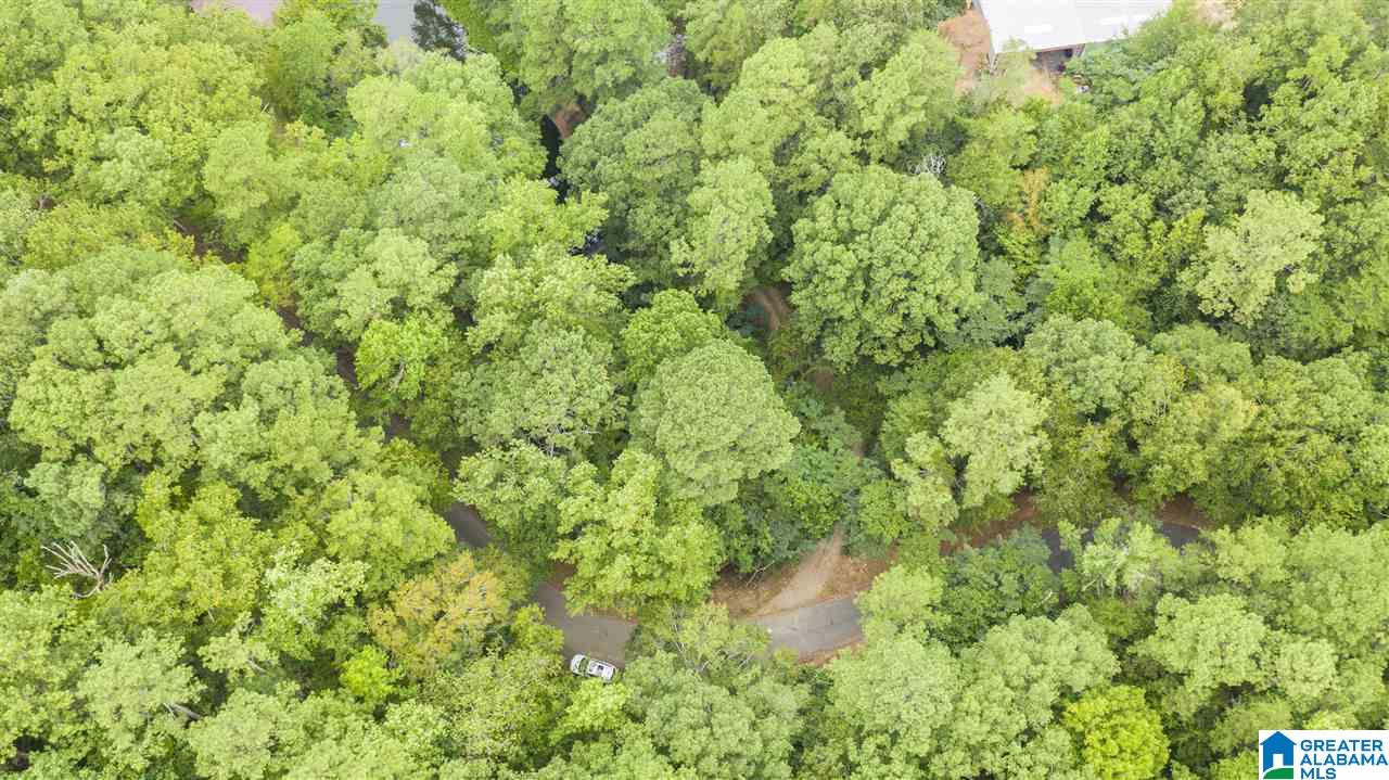 117 Kitty Branch Road, Unit 117 Bessemer, AL 35023 - Photo 6 of 15