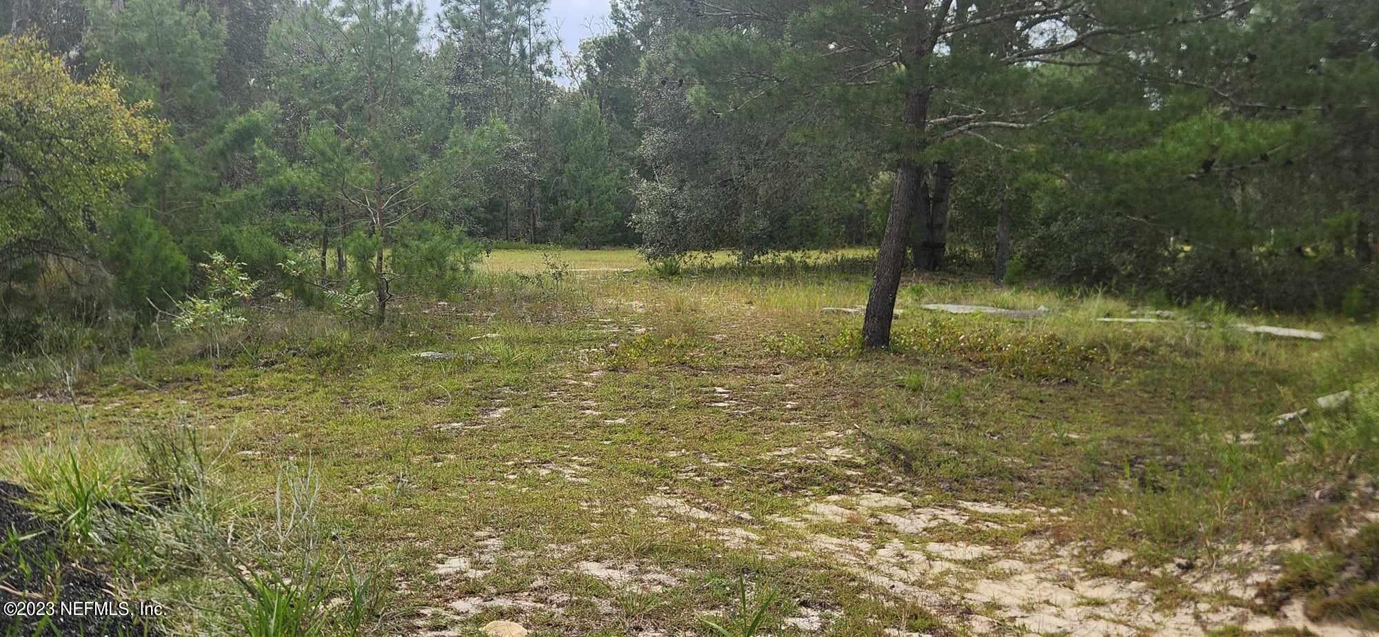 7850 Ranchette Road Keystone Heights, FL 32656 - Photo 11 of 16 381800166_692254212462119_65632039986538