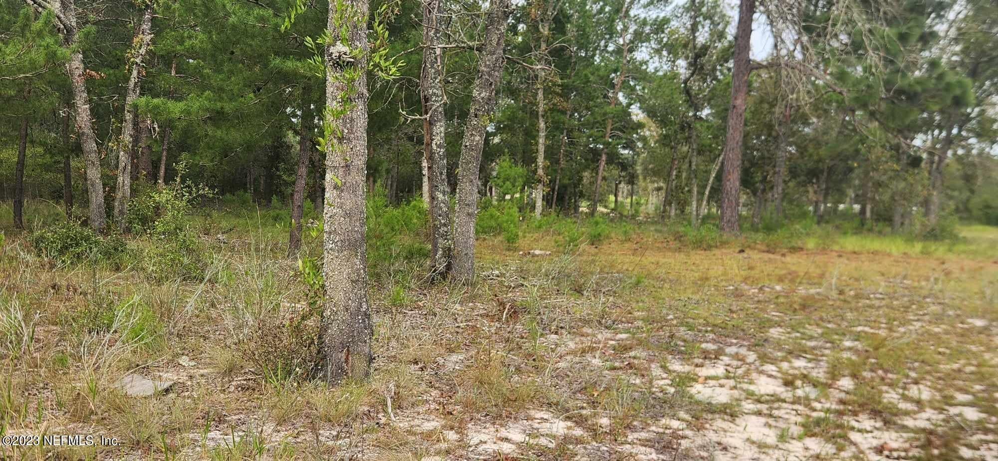 7850 Ranchette Road Keystone Heights, FL 32656 - Photo 10 of 16 381773151_728260412430343_34994210173065